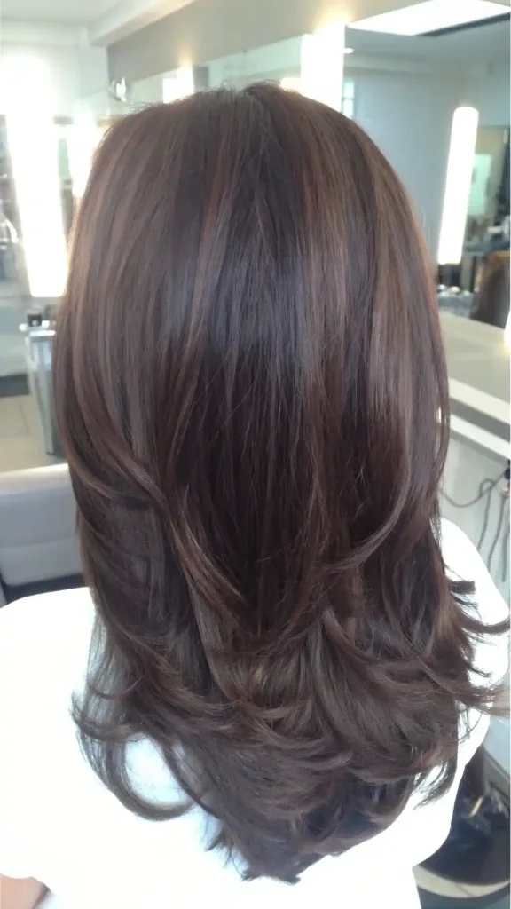 Dark Brown Hair With Dimension (1)