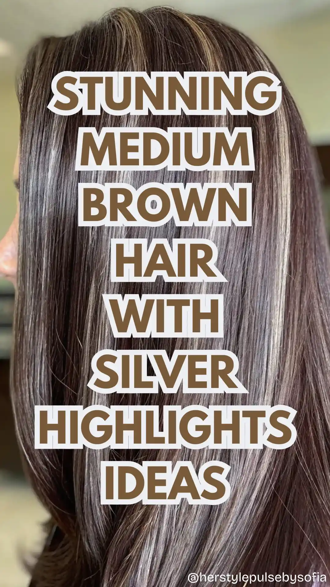 Medium Brown Hair With Silver Highlights Ideas