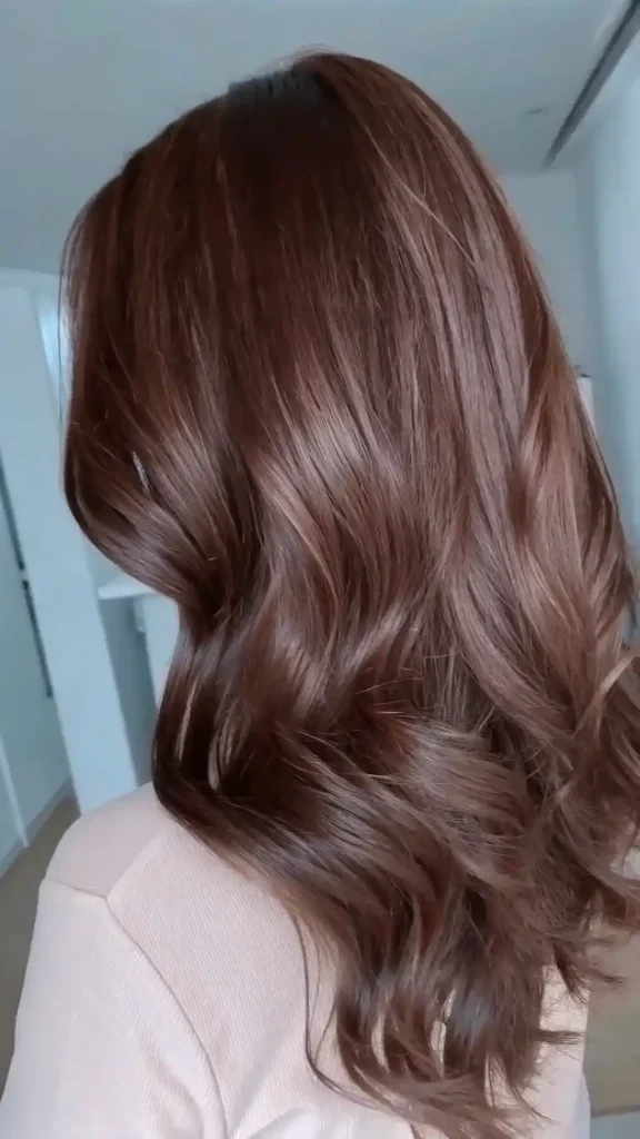 mocha brown hair balayage (1)