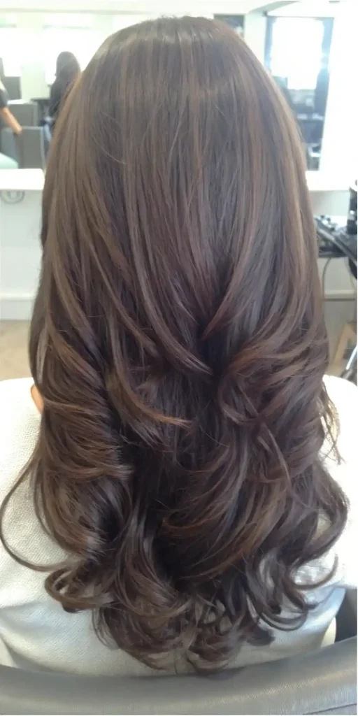 Coffee brown highlights (3)