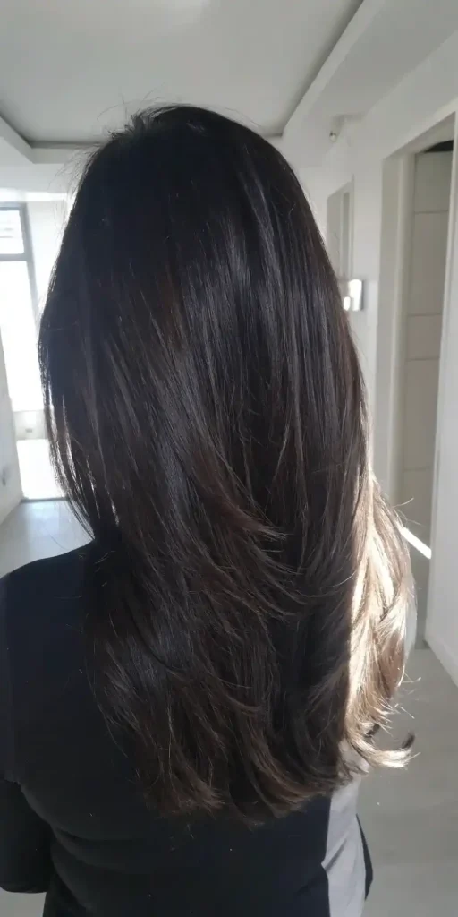Dark brown hair with darker highlights (1)