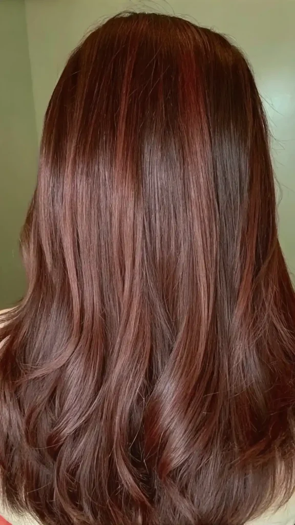 Red Tinted Brown Hair (3)